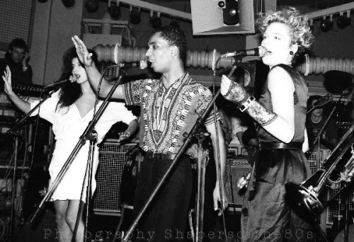 Animal82,dec,Flicks-dj