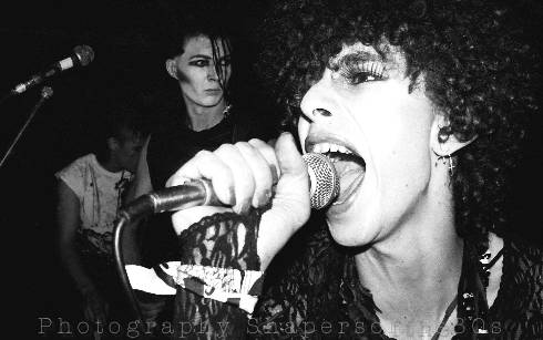 Bat83SpecimenOlliW-dj