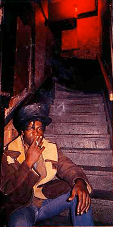 C83Dean,STableKnt-DR