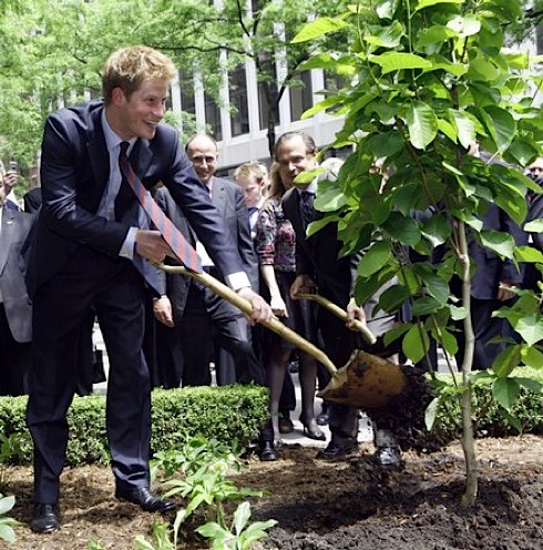 British Garden, Hanover Square,  New York, Prince Harry 