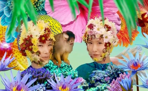 Basement Jaxx ,video,Back 2 The Wild