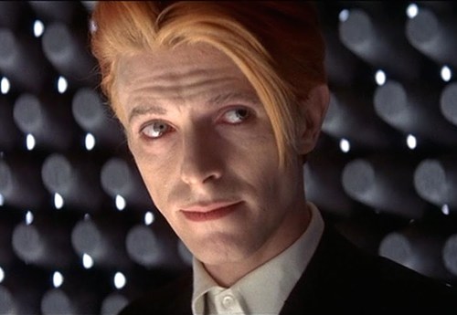 David Bowie, death, obituaries, tributes, rock music, Man Who Fell to Earth, media, videos, films,