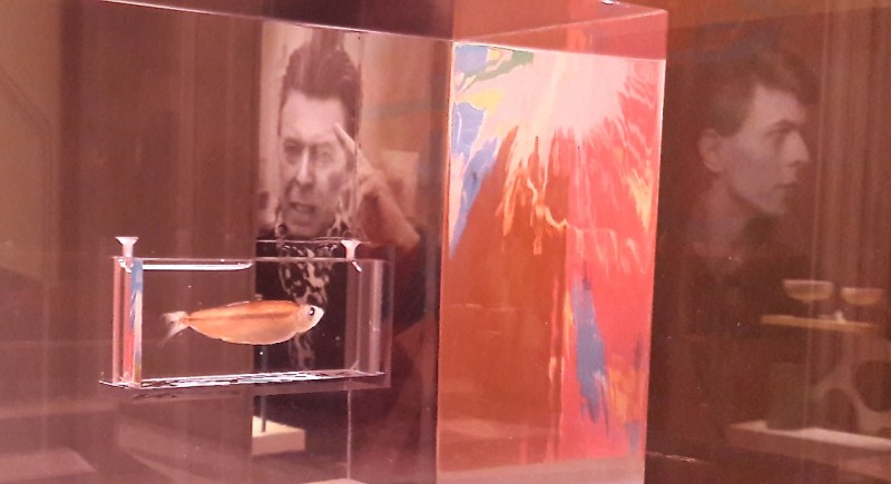 Damien Hirst, David Bowie, Sotheby's, auction, contemporary art,