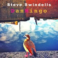 Steve Swindells,album,DanMingo