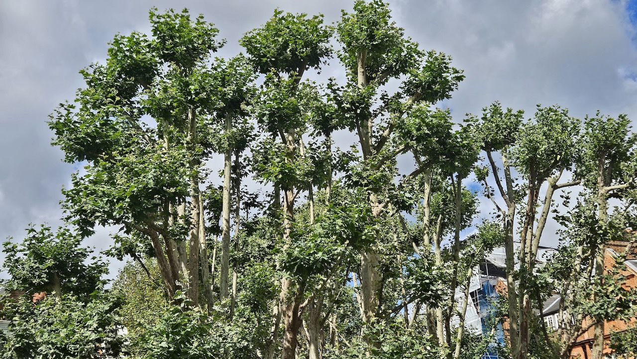 KenCt, LondonUK, skyline, august2026, heatwave,